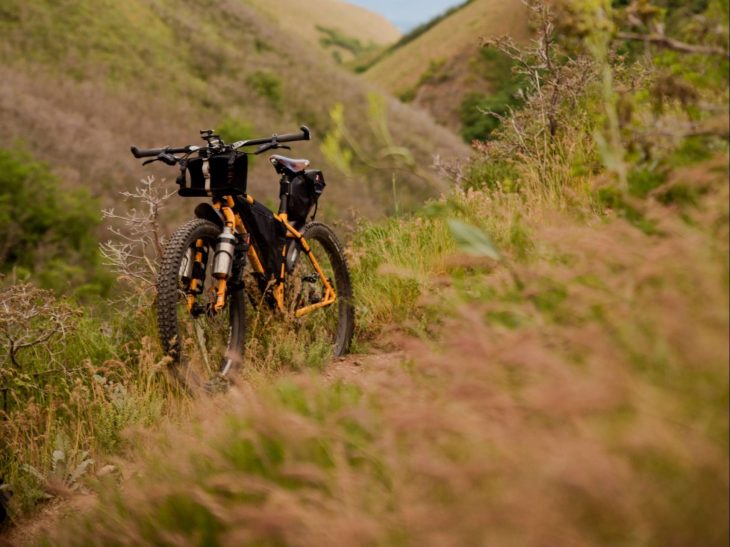 camino en bici