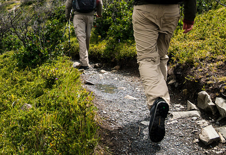 Alerta en el Camino de Santiago francés tras perder la mitad de